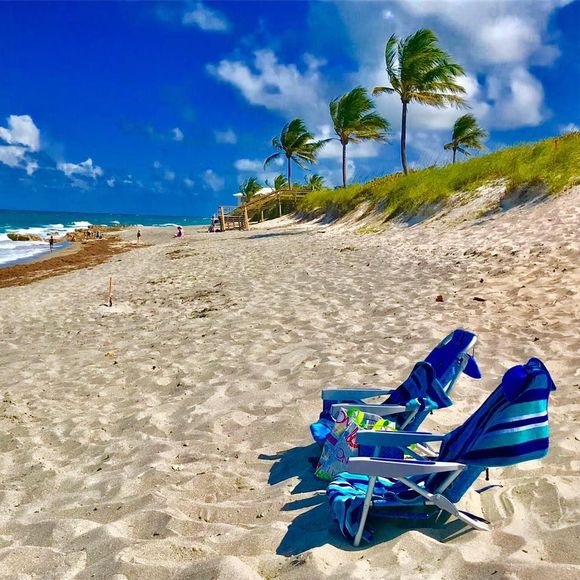 Meet your Posher, Mindy - Picture 1 of 1